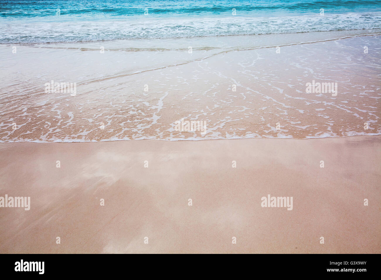 Tropical Bermuda beach con surf e riflessi del cielo sulla sabbia bagnata. Foto Stock