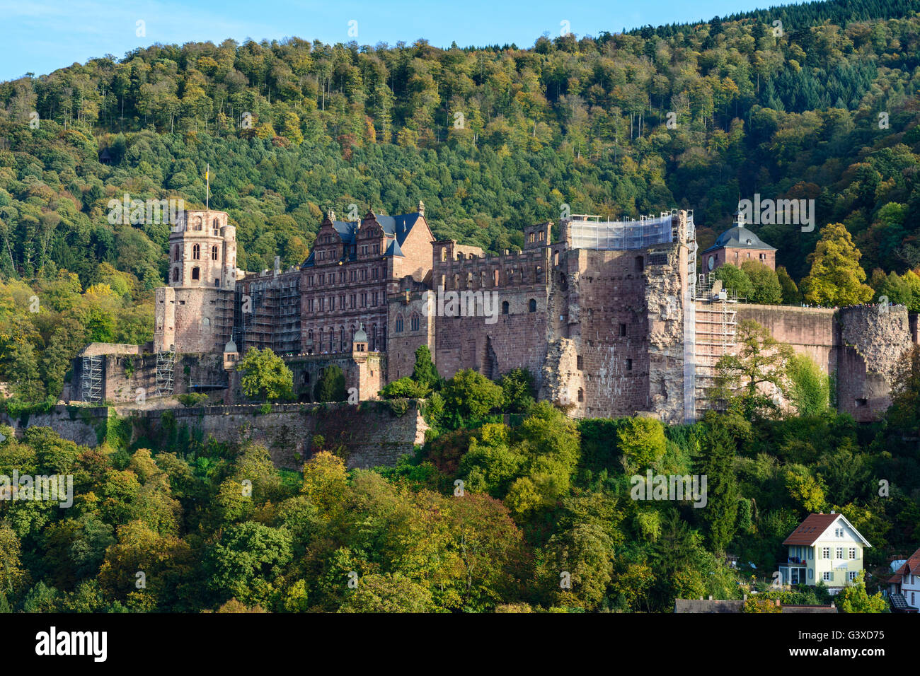 Castello, Germania, Baden-Württemberg, Kurpfalz, Heidelberg Foto Stock