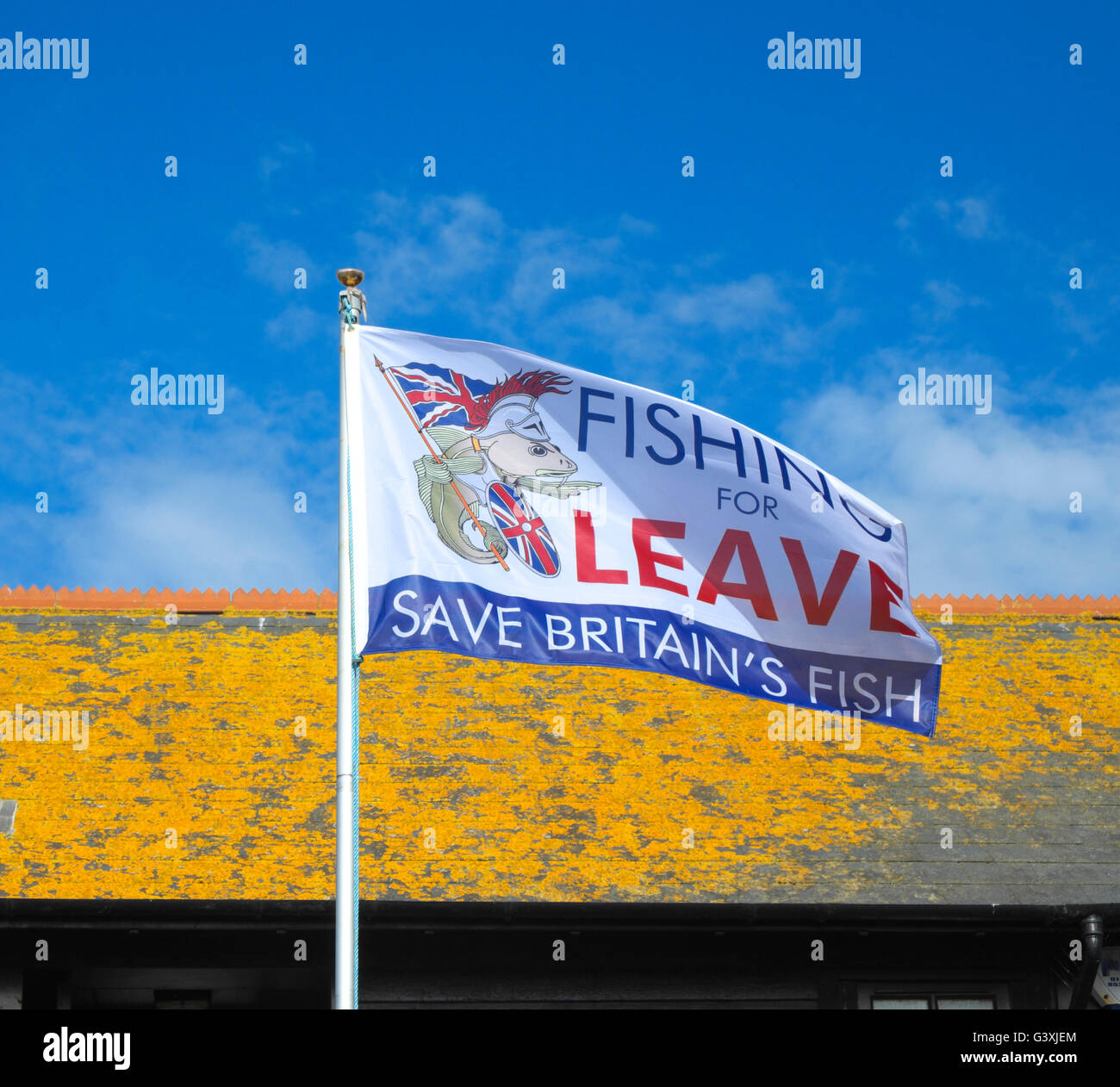 " Pesca per lasciare" l'UE, Brexit bandiera su Hastings Stade di pescatori di spiaggia, East Sussex, Inghilterra, Gran Bretagna, GB, Regno Unito Foto Stock