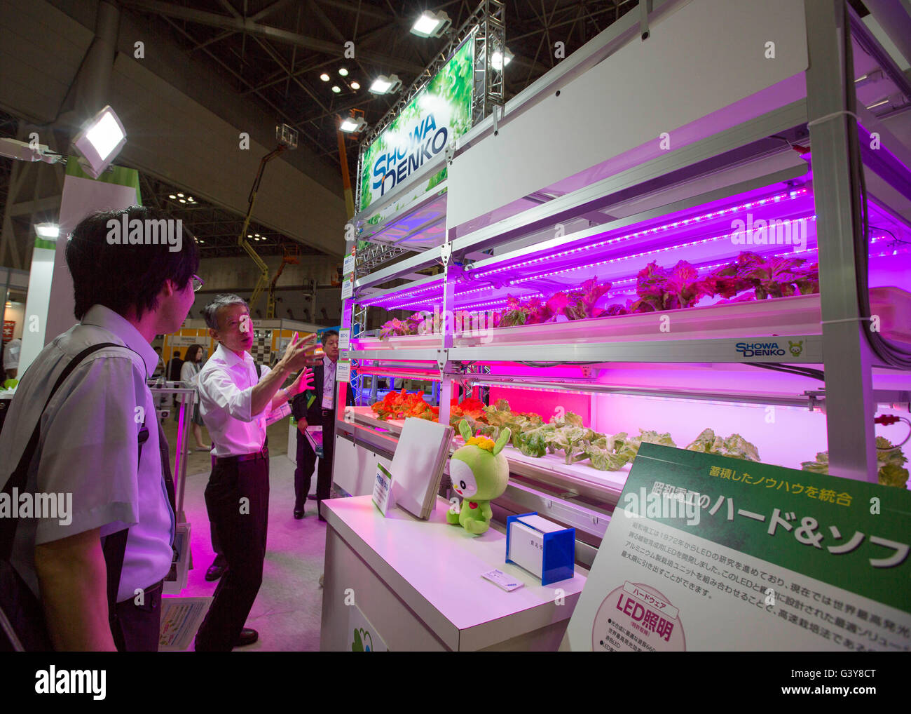 Tokyo, Giappone. 17 Giugno, 2016. Il mercato dell'energia, la biomassa, impianti di fabbrica e Smart Agricoltura e fonti di energia rinnovabili. 17 Giugno, 2016. Tokyo, Giappone, 17 Giugno 2016 - Un espositore parla con un visitatore circa la loro illuminazione a LED prodotti utilizzati per scopi di agricoltura durante la Smart Community Giappone 2016 a Tokyo il Venerdì, 17 giugno 2016. La Smart Community Japan Expo mette in mostra le più recenti tecnologie relative alla nuova generazione di energia, riforme nel mercato dell'energia, la biomassa, impianti di fabbrica e smart agricoltura e fonti di energia rinnovabili. Credito: AFLO/Alamy Live News Foto Stock
