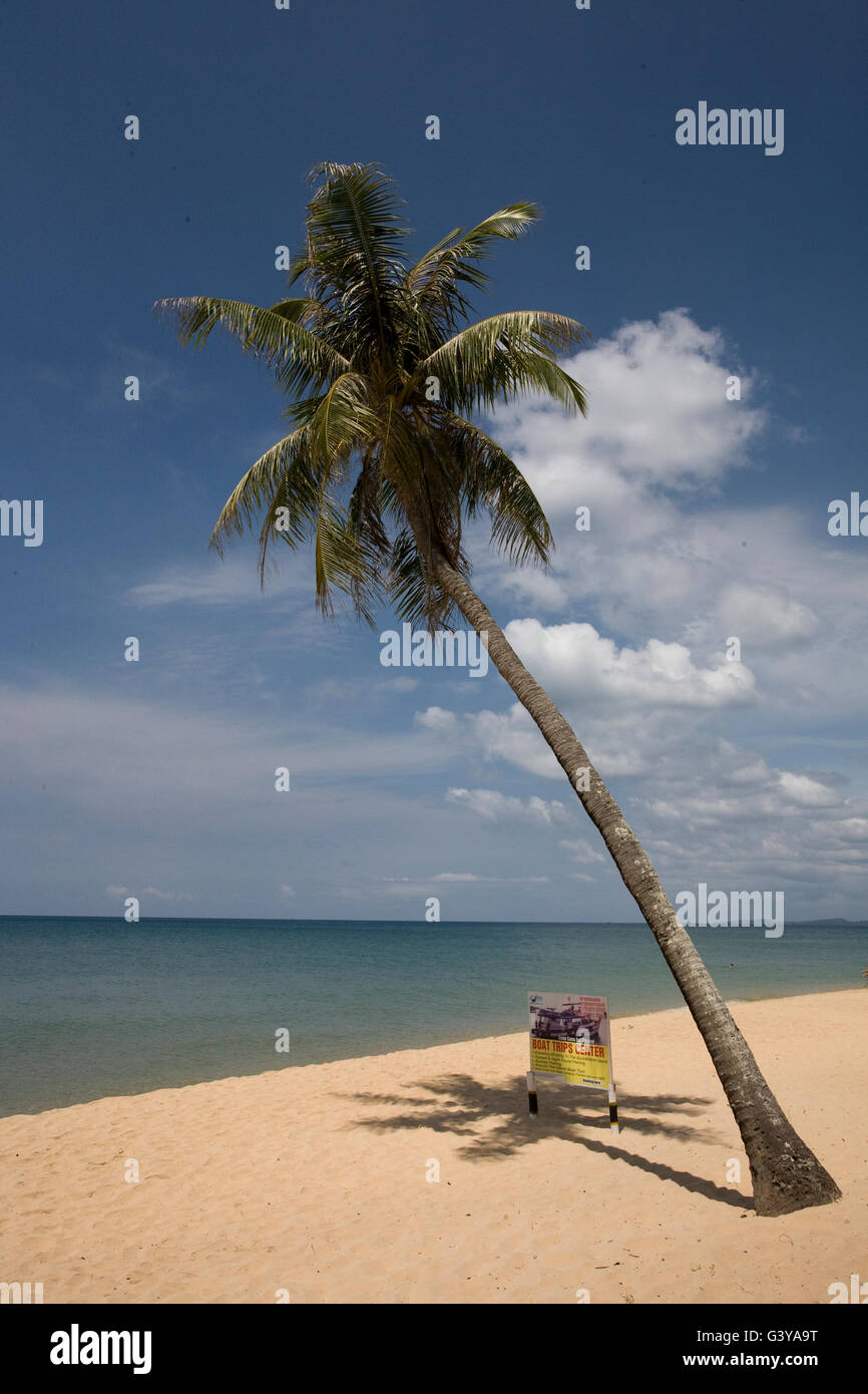 Palm e un cartellone su Long Beach, Phu Quoc Island, Vietnam, Asia sud-orientale, Asia Foto Stock