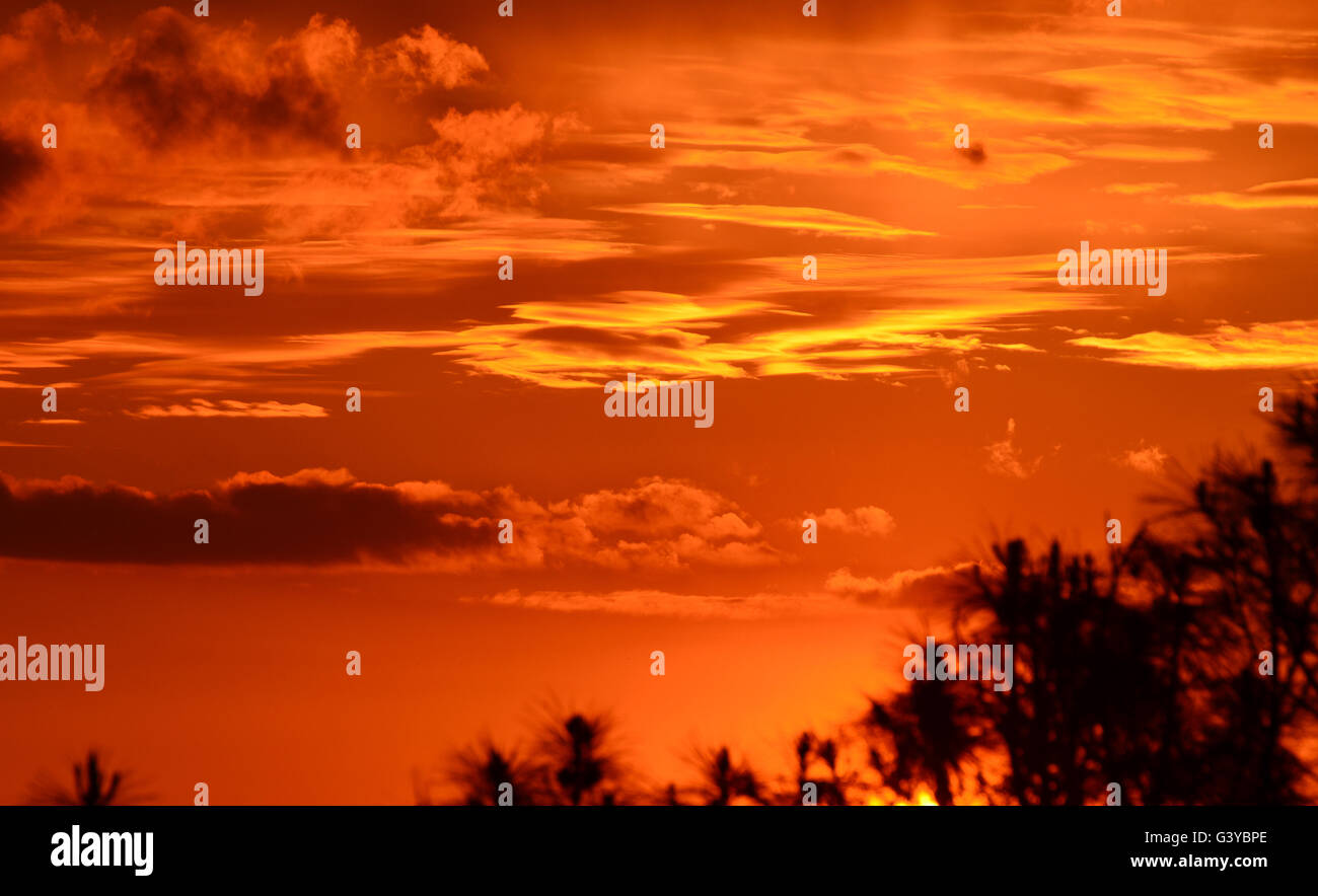 Uno splendido tramonto a Lincoln, CALIFORNIA, STATI UNITI D'AMERICA Foto Stock