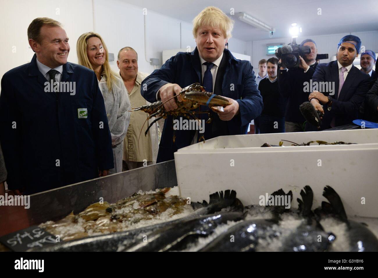 Boris Johnson MP visite Sam Cole alimenti la lavorazione del pesce in fabbrica a Lowestoft, Suffolk, dove egli era la campagna a favore del voto lasciare la campagna dell'UE. Foto Stock