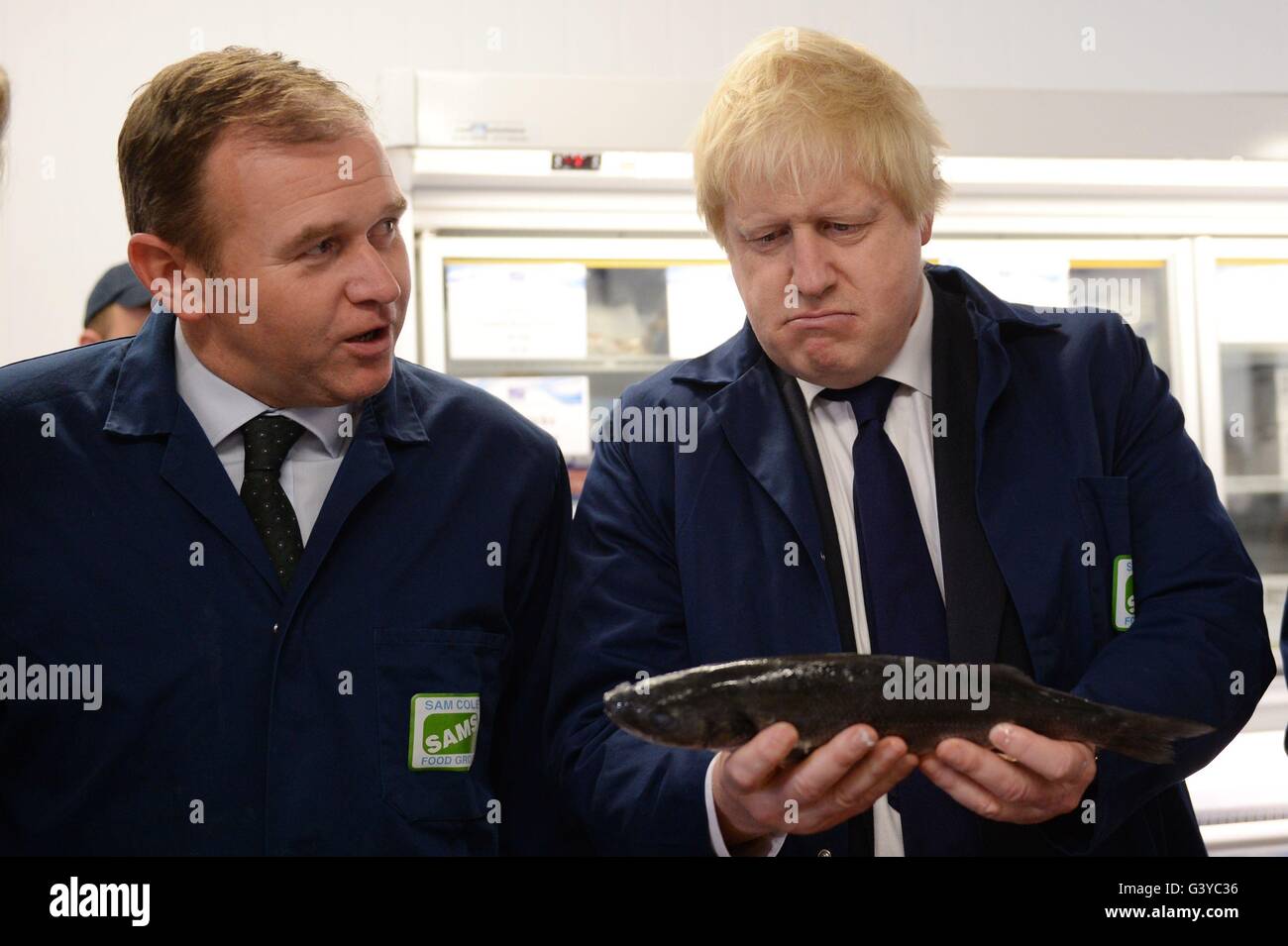 Boris Johnson MP (destra) visite Sam Cole alimenti la lavorazione del pesce in fabbrica a Lowestoft, Suffolk, dove egli era la campagna a favore del voto lasciare la campagna dell'UE. Foto Stock