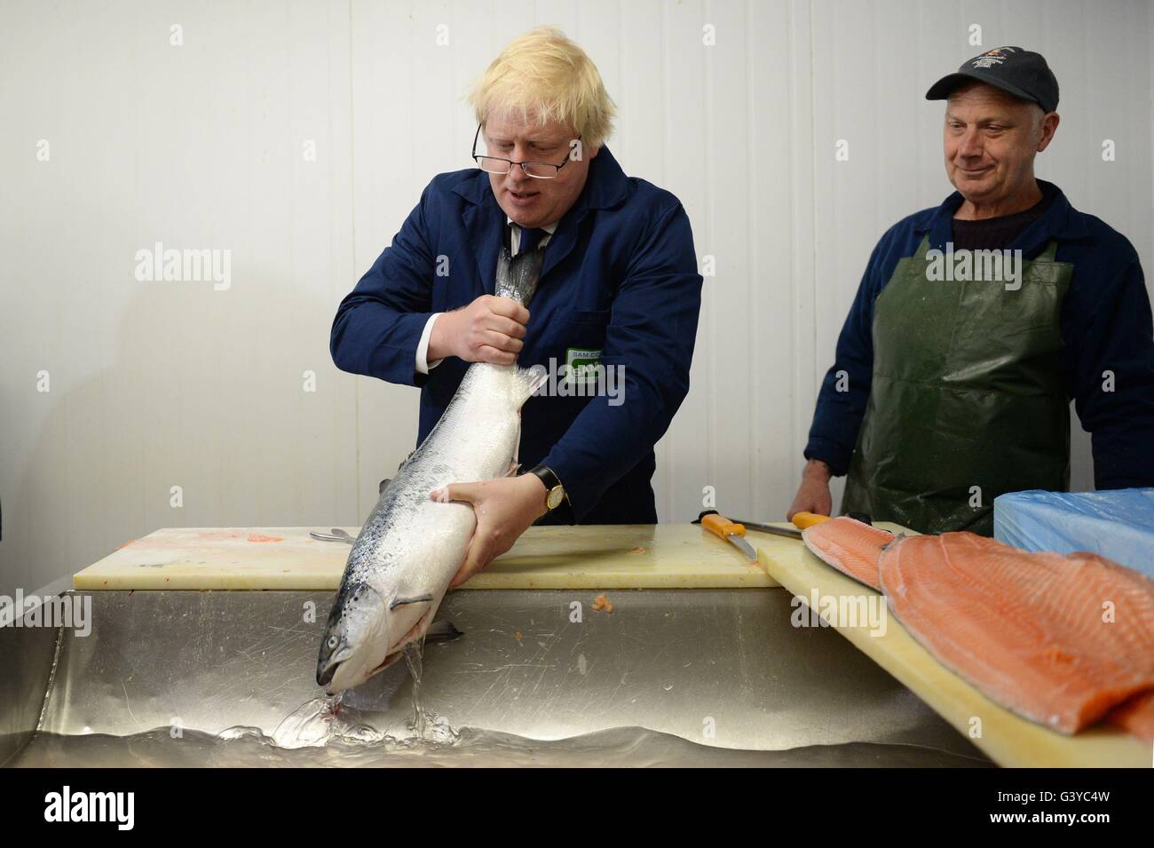 Boris Johnson MP chat con basilico Burgess (destra) come egli visite Sam Cole alimenti la lavorazione del pesce in fabbrica a Lowestoft, Suffolk, dove egli era la campagna a favore del voto lasciare la campagna dell'UE. Foto Stock