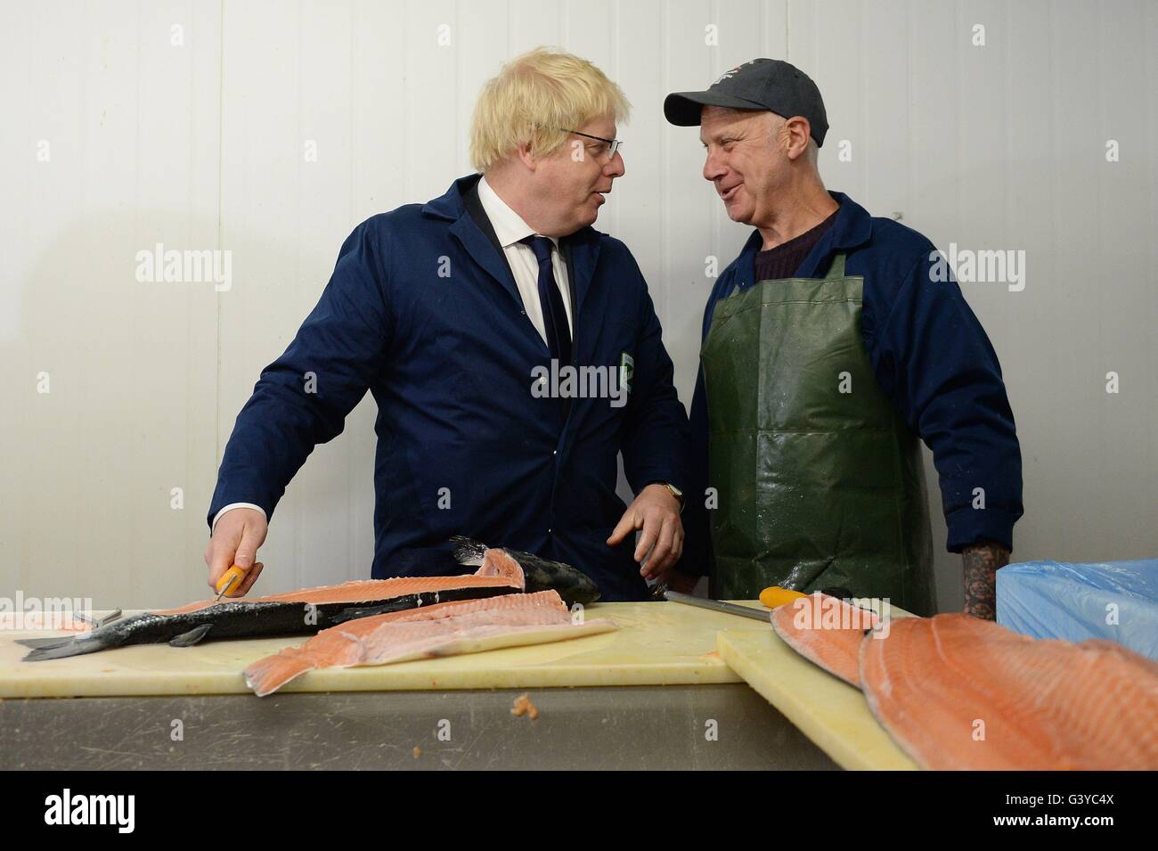 Boris Johnson MP chat con basilico Burgess (destra) come egli visite Sam Cole alimenti la lavorazione del pesce in fabbrica a Lowestoft, Suffolk, dove egli era la campagna a favore del voto lasciare la campagna dell'UE. Foto Stock