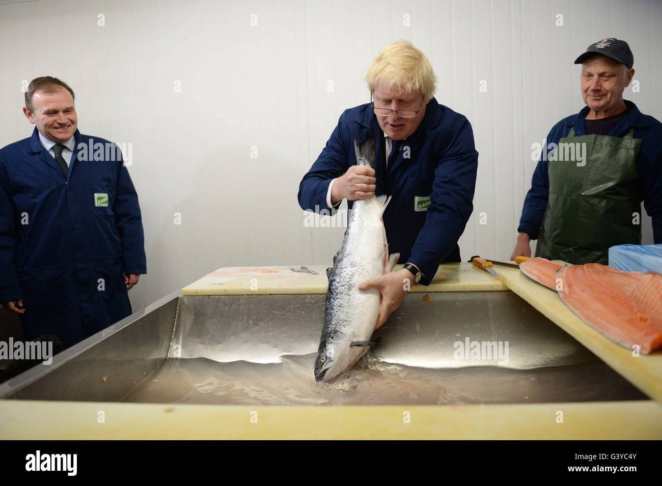 Boris Johnson MP chat con basilico Burgess (destra), mentre il settore agricolo il ministro George Eustice (sinistra) guarda come egli visite Sam Cole alimenti la lavorazione del pesce in fabbrica a Lowestoft, Suffolk, dove egli era la campagna a favore del voto lasciare la campagna dell'UE. Foto Stock