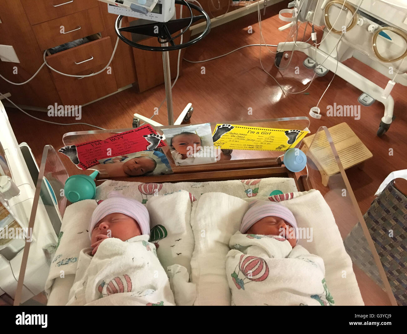 Sei giorni di vecchio nuovo nato gemelli nel trio ospedale di maternità, Kennewick, nello Stato di Washington, USA Foto Stock
