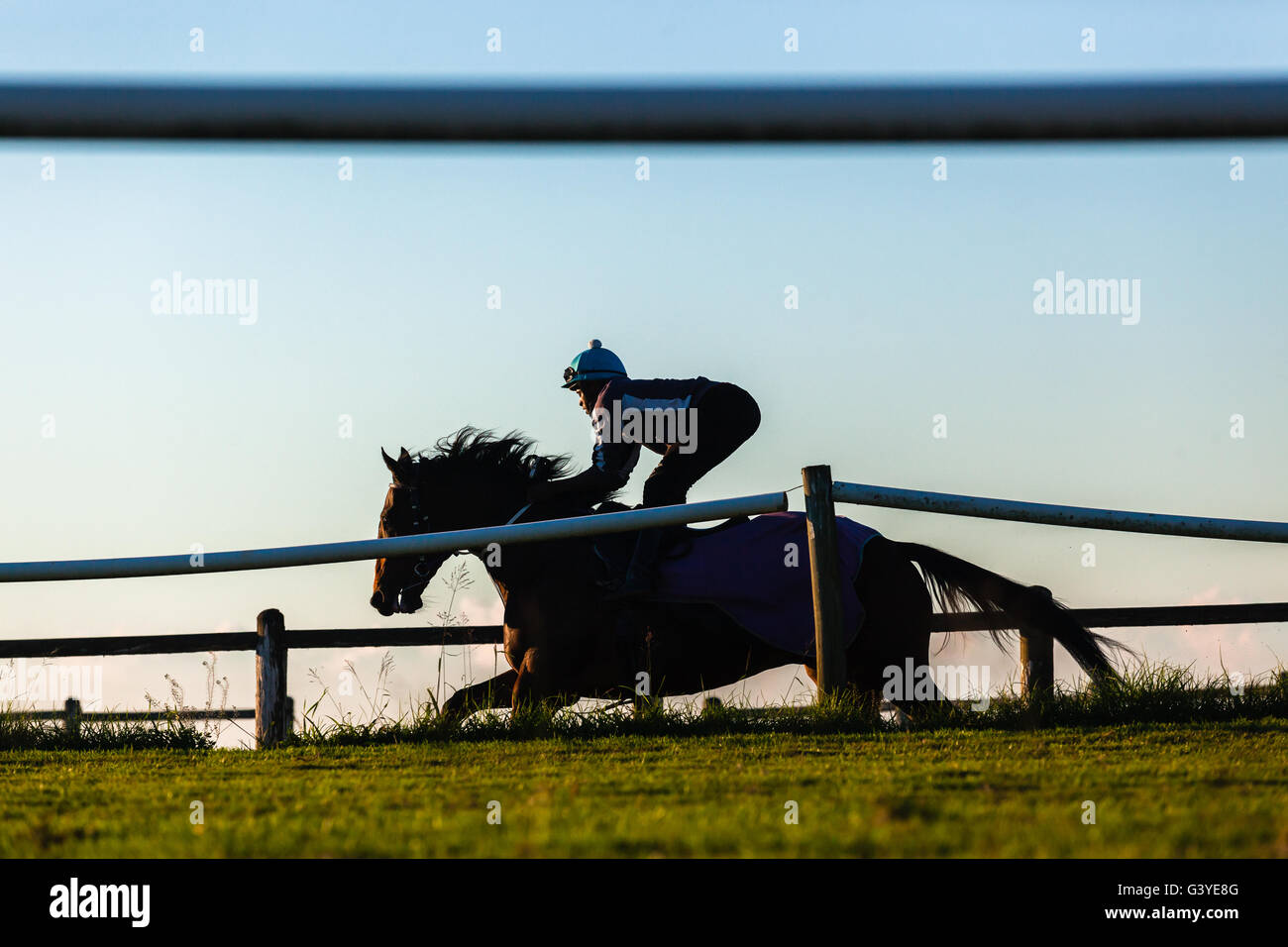 I cavalli da corsa piloti in esecuzione le vie di formazione non identificato stagliano azione fotografia all'alba . Foto Stock