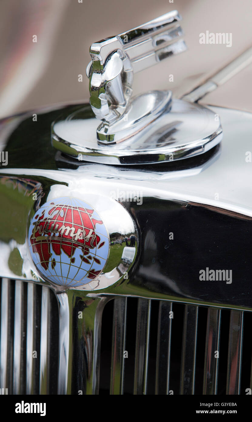 Aug 2013 Hebden Bridge - Calder Holmes Park . Classico e auto d'Epoca - Marques e loghi e dettagli Foto Stock