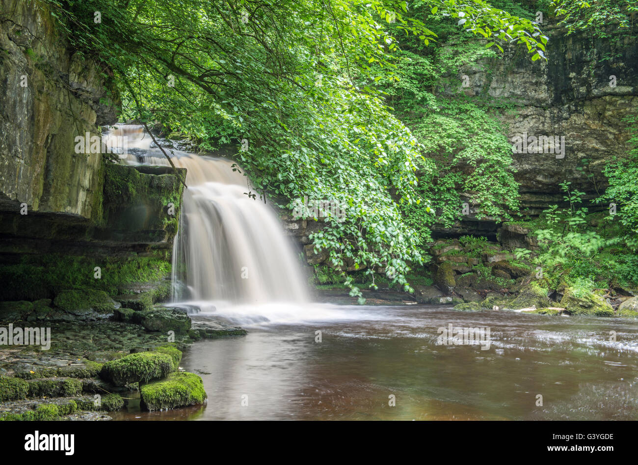 Di West Burton cascata in Bishopdale nel Yorkshire Dales National Park Foto Stock