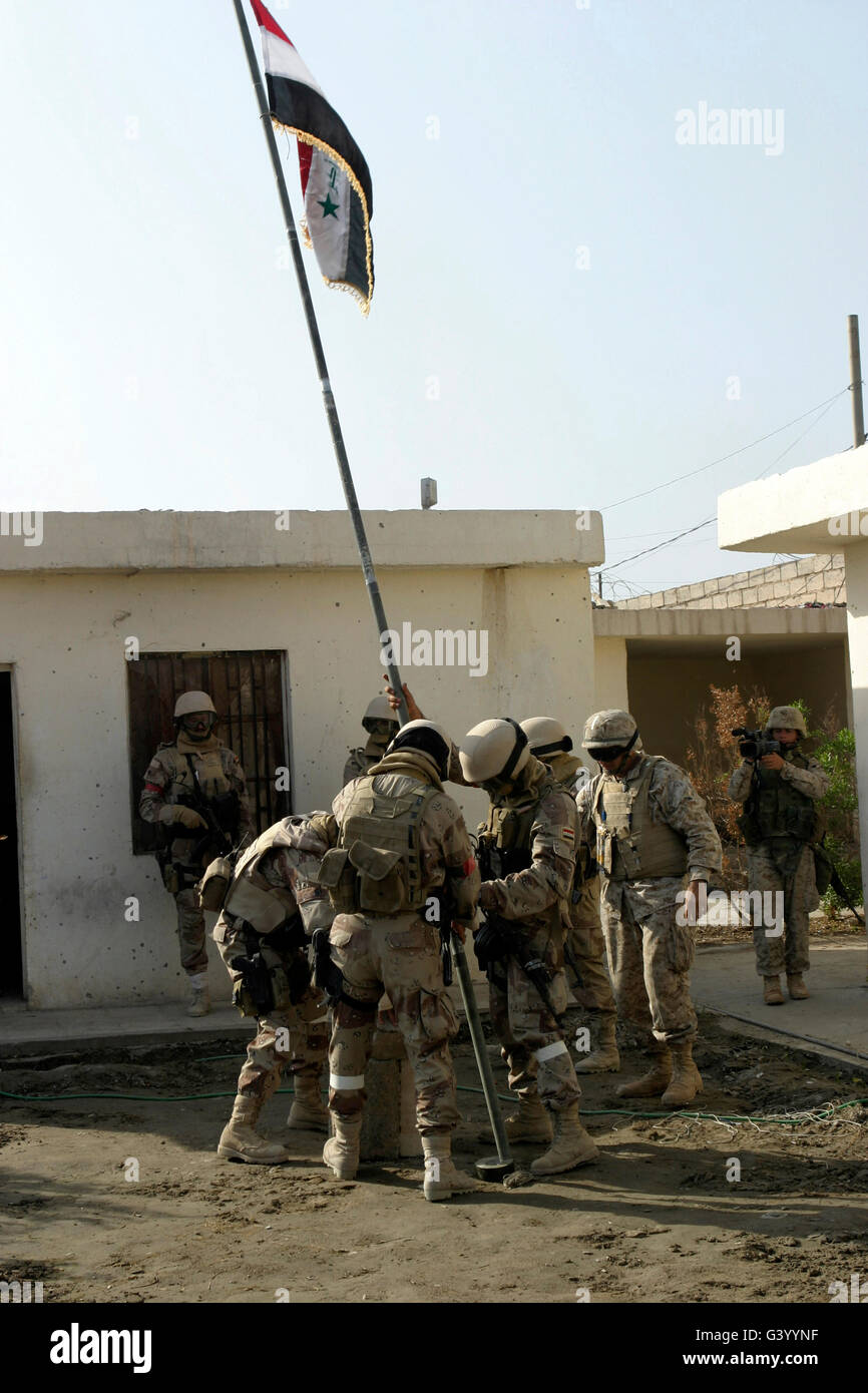 I soldati dall'Iraq Forze Speciali sollevare il governo iracheno bandiera nazionale di fronte all'ufficio del sindaco di Fallujah. Foto Stock