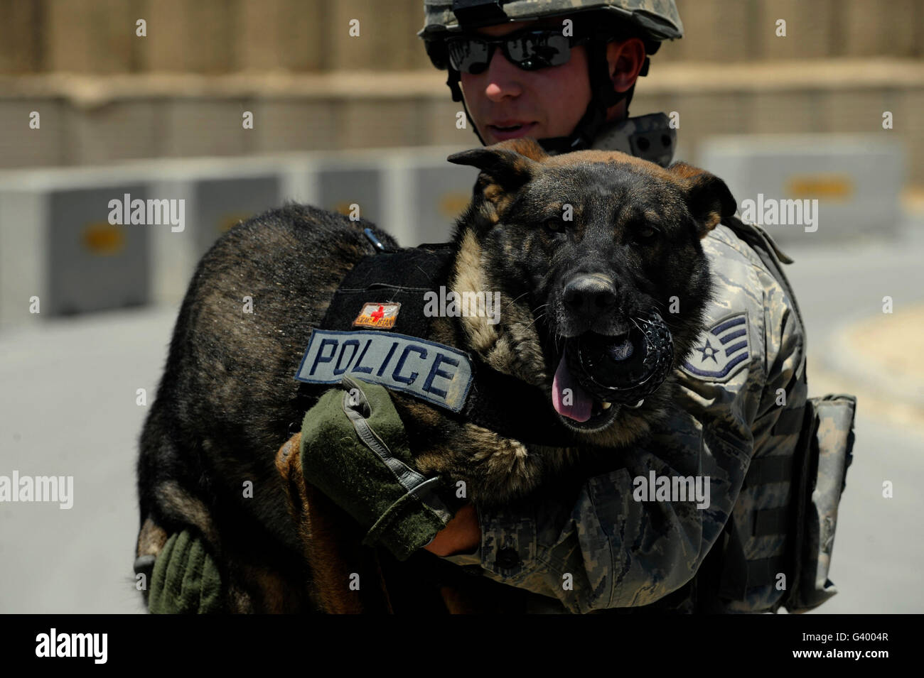 Stati Uniti Air Force soldato dando il suo lavoro militari cane sollievo dal caldo pavimento in Afghanistan. Foto Stock