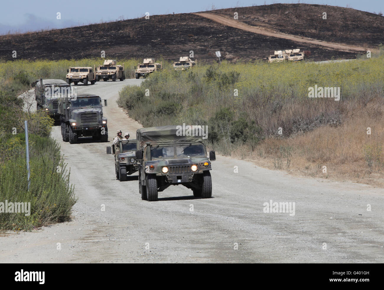 Un convoglio di veicoli militari. Foto Stock