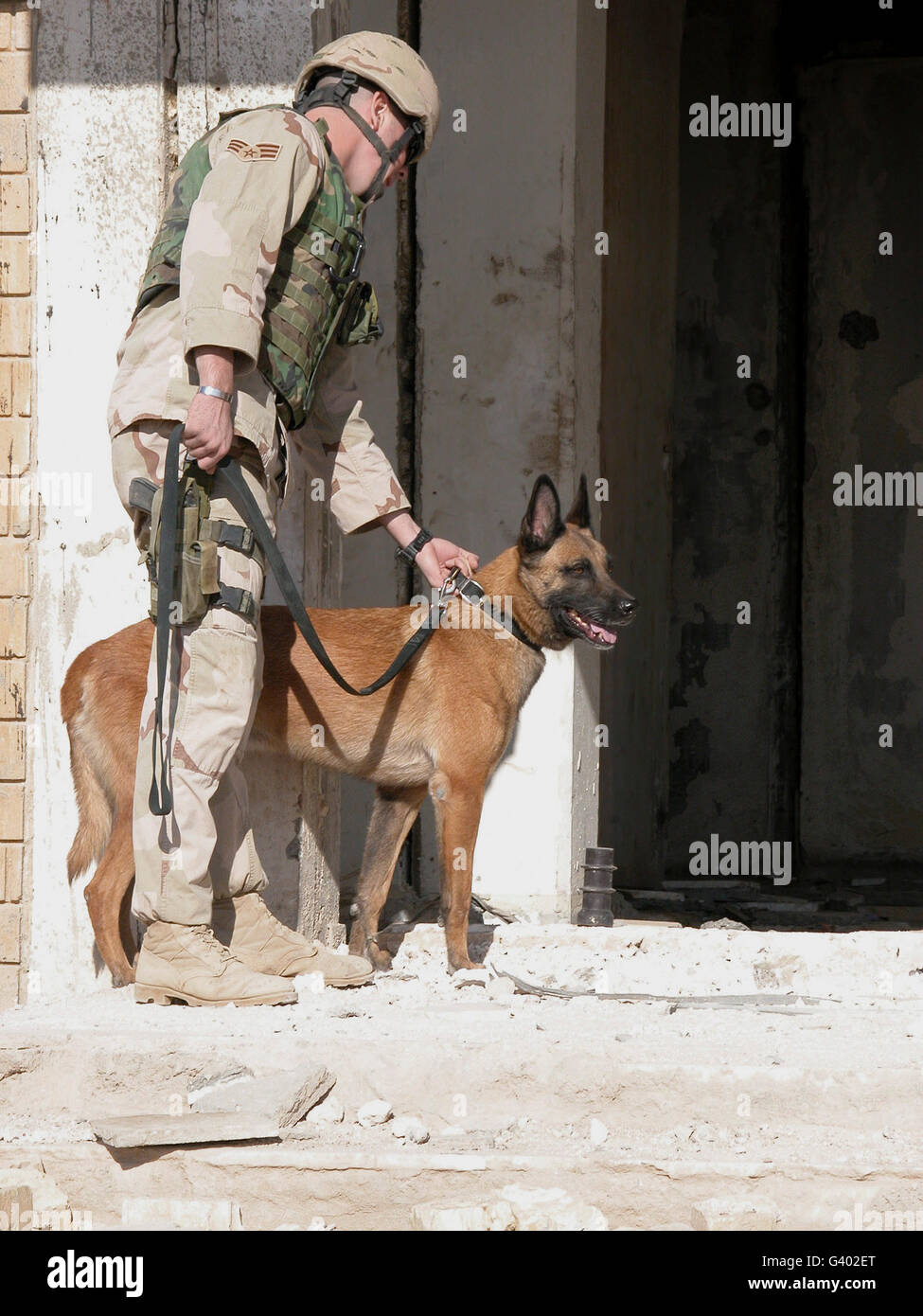 Un militare di cane da lavoro e la sua pattuglia di handler il perimetro di Tallil Air Base, Iraq. Foto Stock