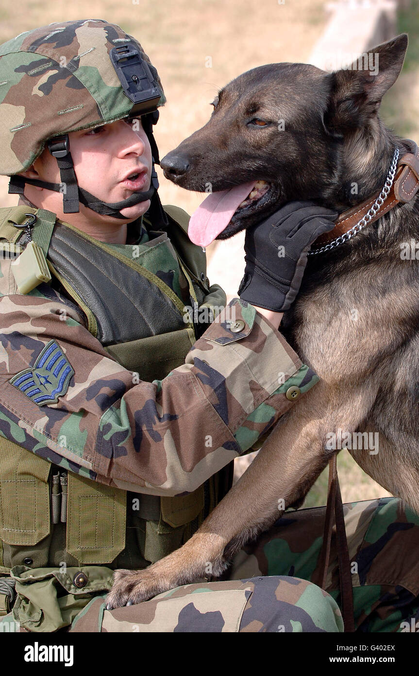 Un gestore del cane e il suo lavoro militari cane. Foto Stock