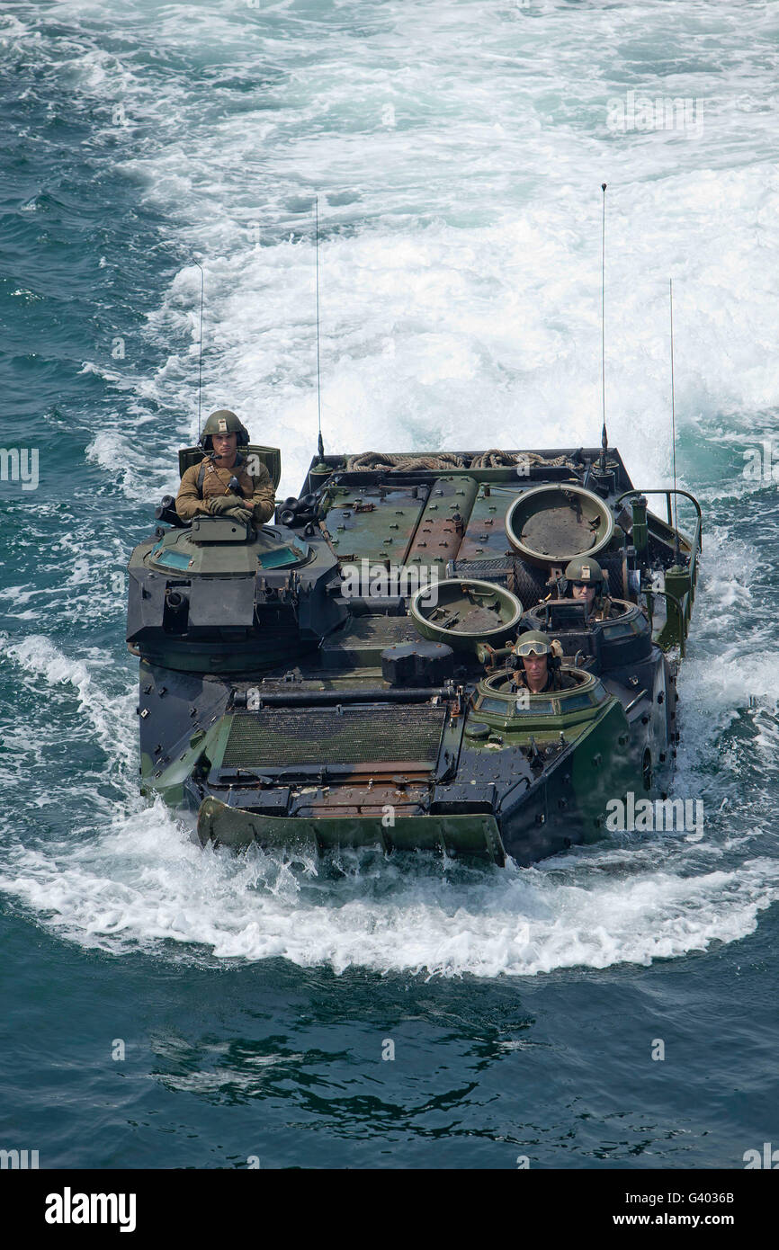 Marines condurre un raid anfibio. Foto Stock
