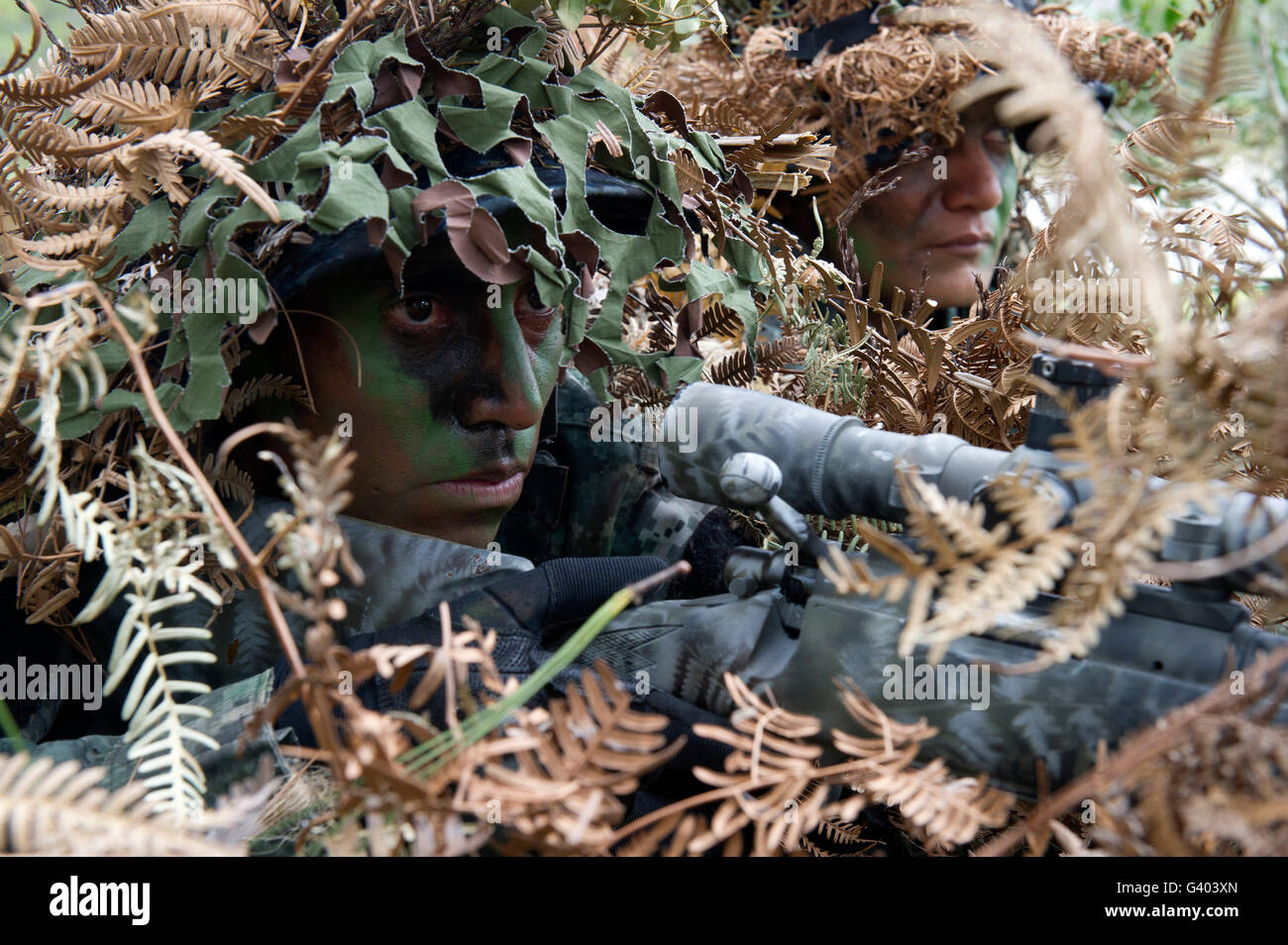 TIGRES commandos dimostrare la loro abilità di mimetizzazione in Honduras. Foto Stock