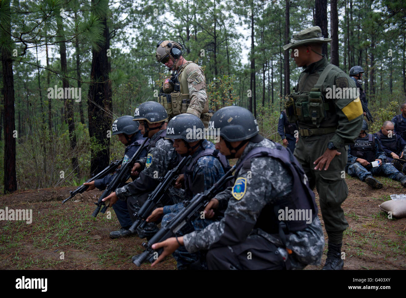 TIGRES commandos attendere per condurre bounding overwatch esercizi. Foto Stock