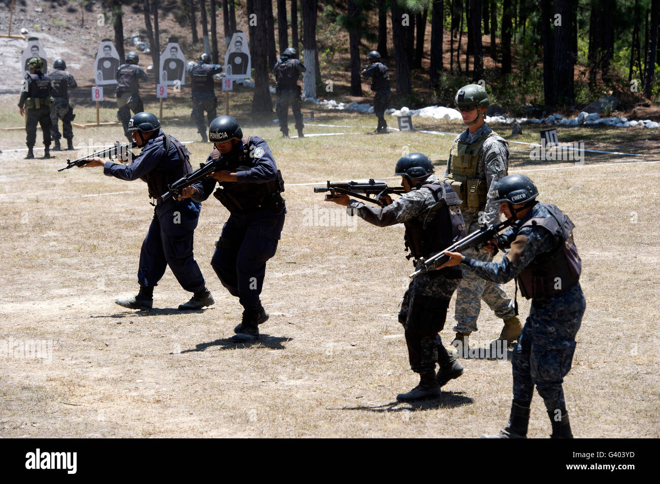 Un berretto verde passeggiate con TIGRES partecipanti durante il fucile avanzate di formazione. Foto Stock