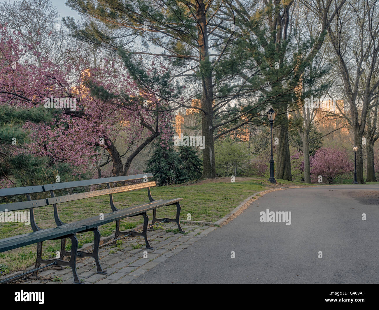 Il Central Park di New York City con alberi in fiore in primavera Foto Stock