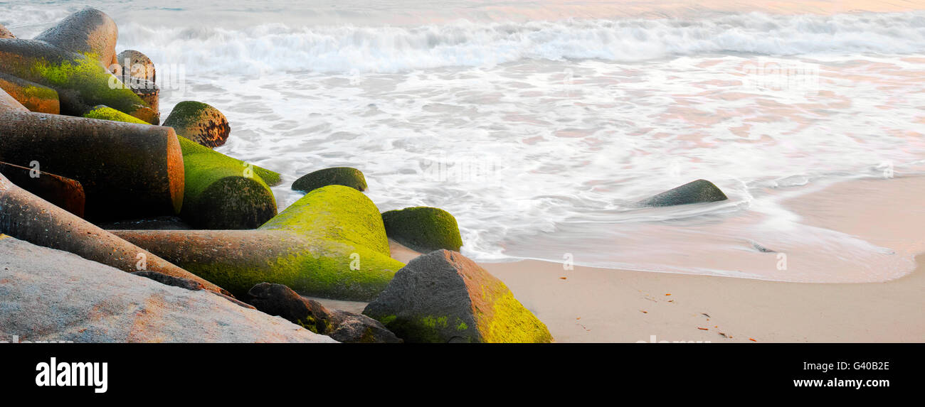 Pacific Ocean surf e moss-interruttori coperto al tramonto. In California, Stati Uniti d'America. Foto Stock