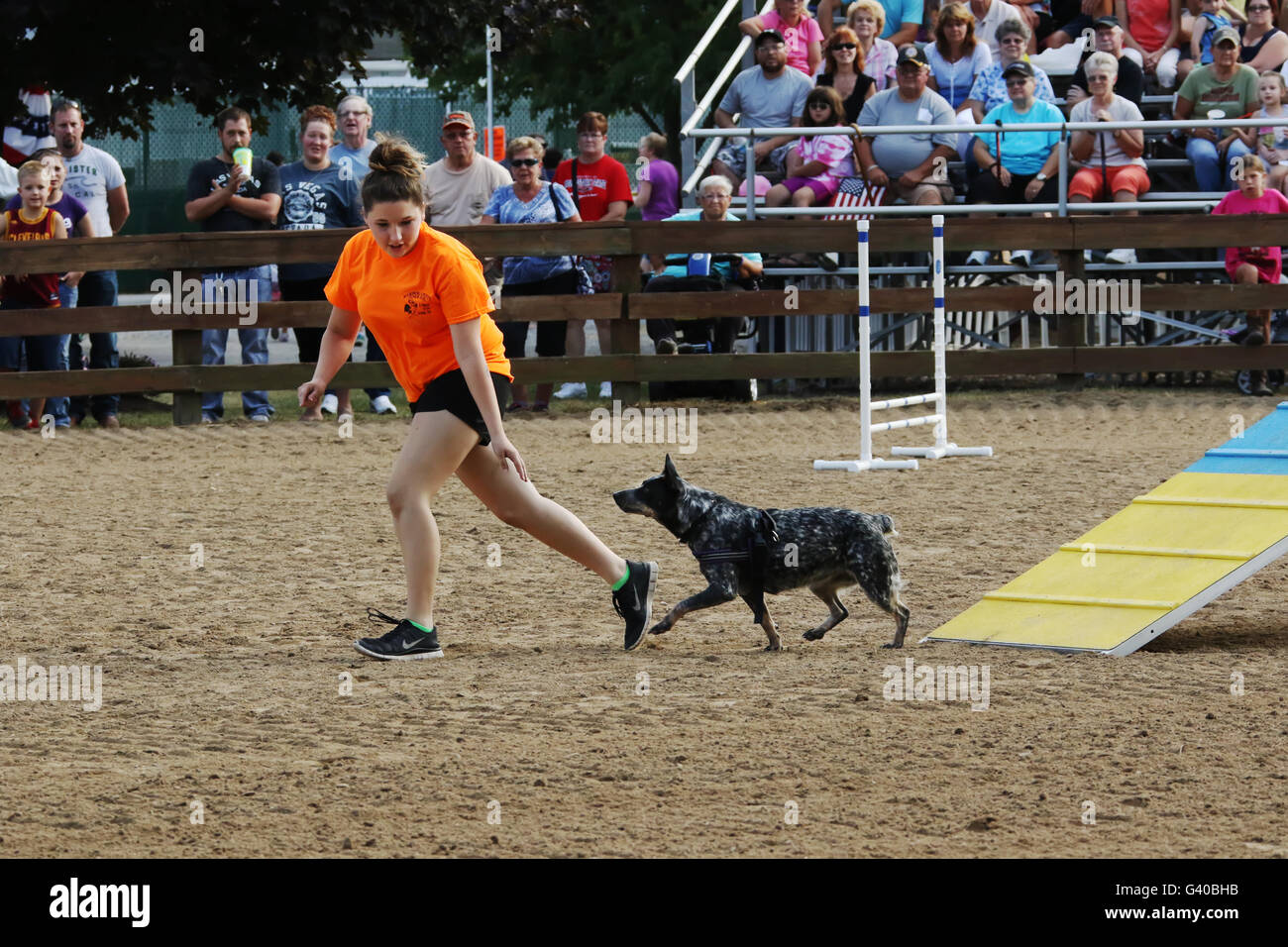 Cane dimostrazione di agilità. Ragazza con cane. Canfield fiera. Mahoning County Fair. Canfield, Youngstown, Ohio, Stati Uniti d'America. Foto Stock