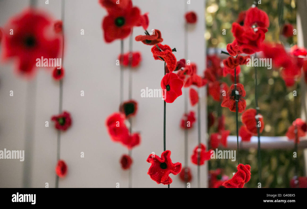 Giorno del Ricordo decorazione di papavero, Melbourne, Australia Foto Stock