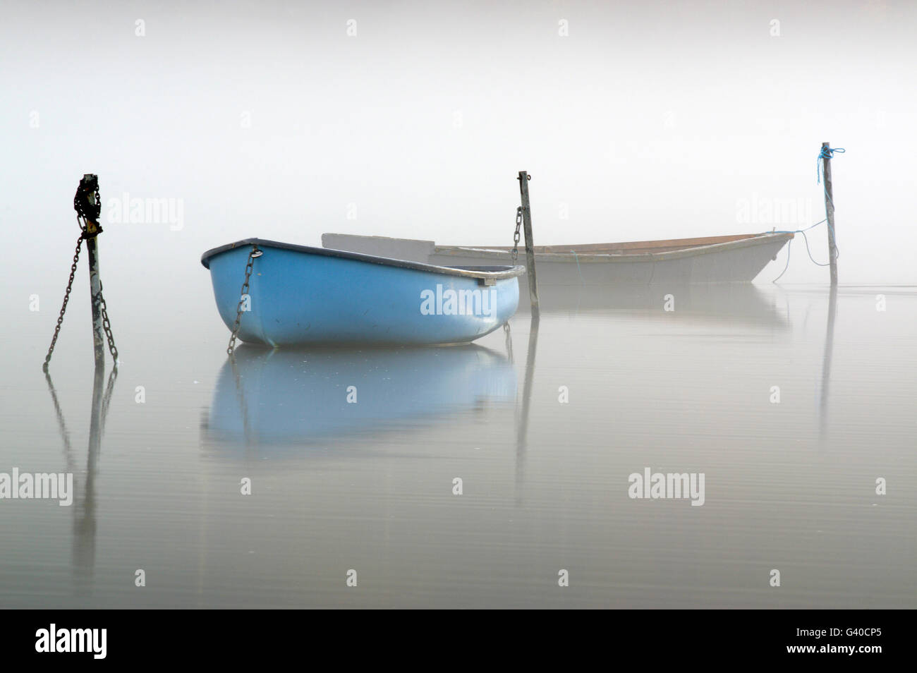 Barche a remi sul lago misty, Foto Stock