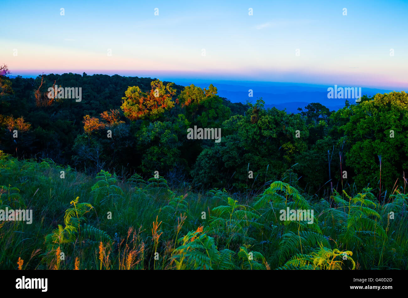 Mattina di sole in montagna. Bella composizione del paesaggio Foto Stock