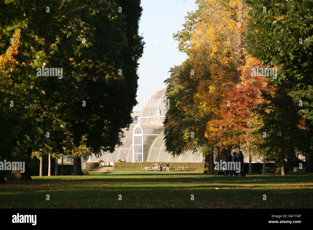 I colori autunnali circondano la Palm House a Kew Gardens, nella parte ovest di Londra. Foto Stock