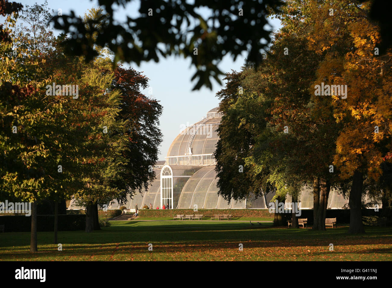 I colori autunnali circondano la Palm House a Kew Gardens, nella parte ovest di Londra. Foto Stock
