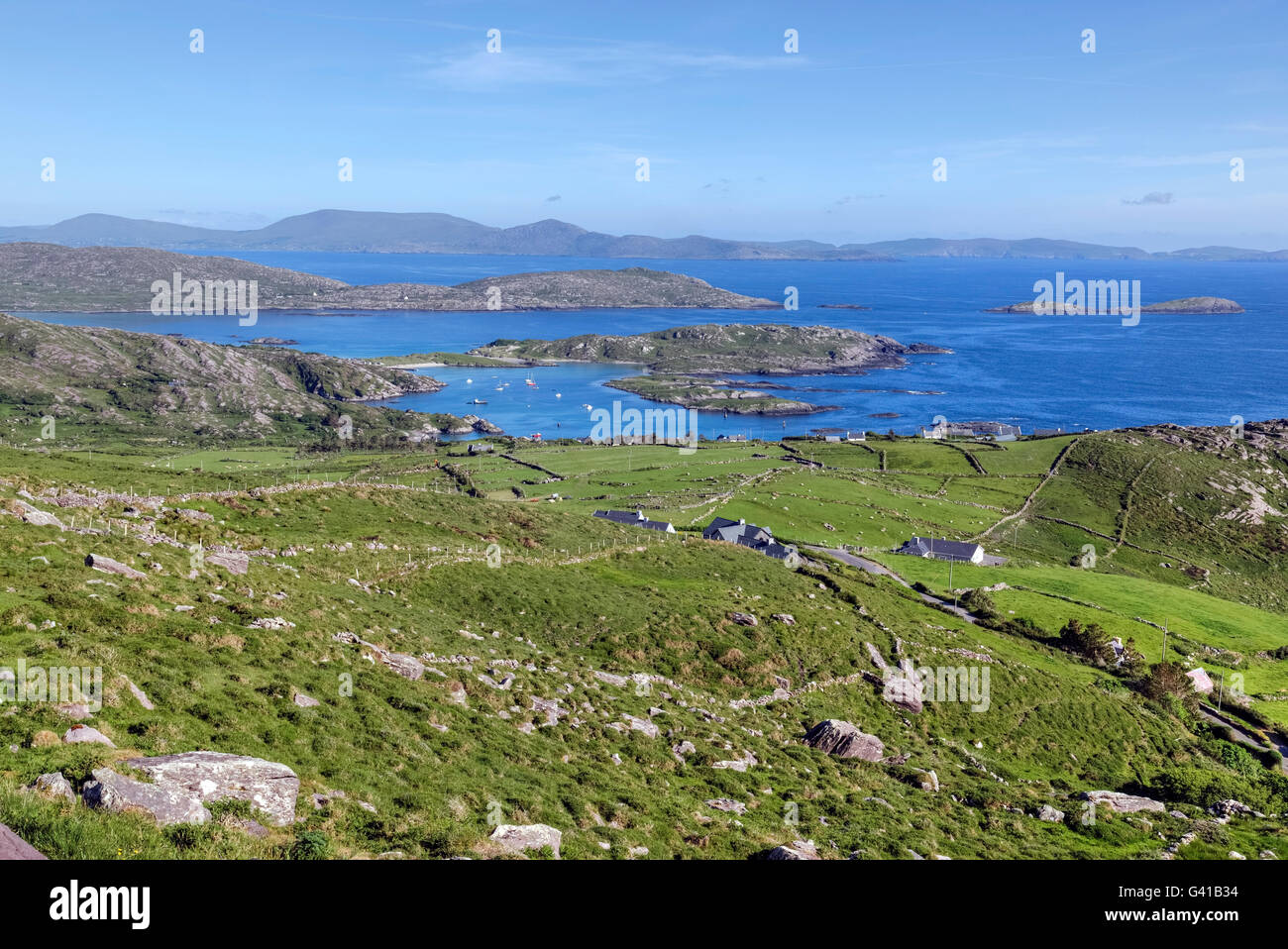 Testa di agnelli, Abbazia Isola, Ring of Kerry, Irlanda Foto Stock