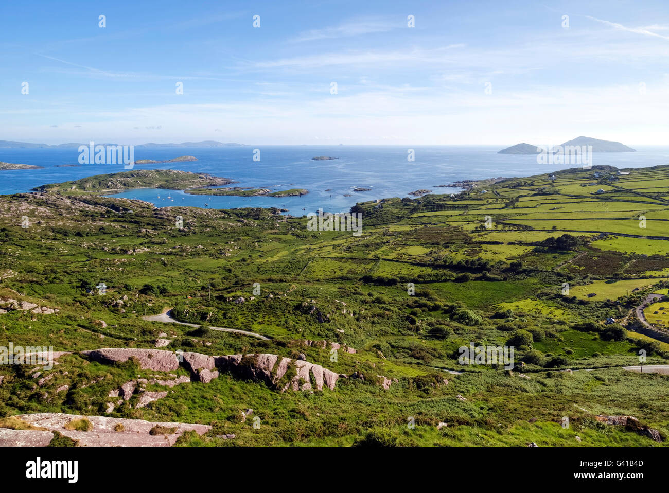 Testa di agnelli, Abbazia Isola, Ring of Kerry, Irlanda Foto Stock