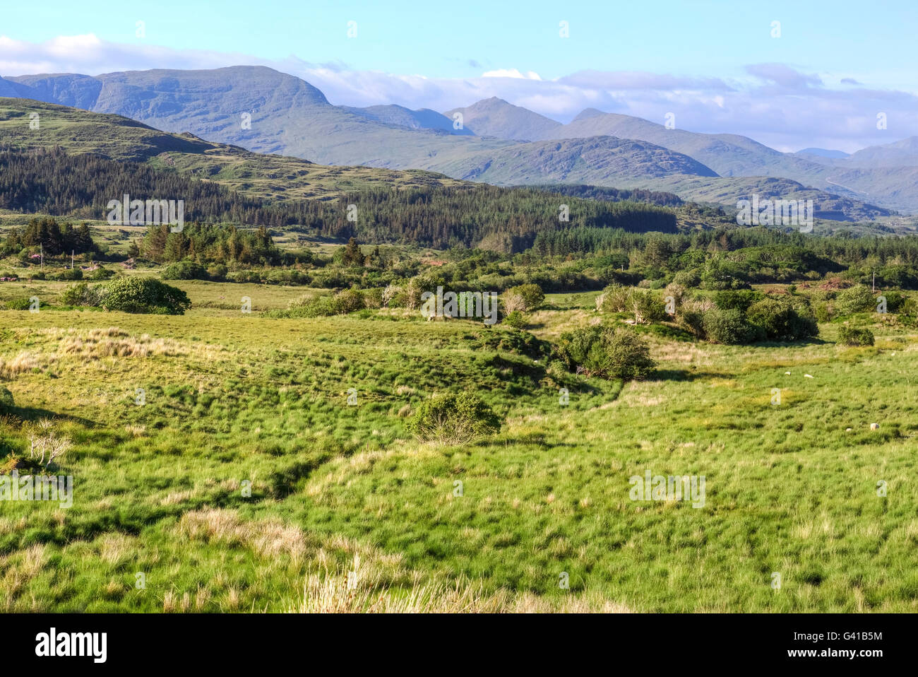 Il Macgillycuddy Reeks, Ring of Kerry, Irlanda Foto Stock