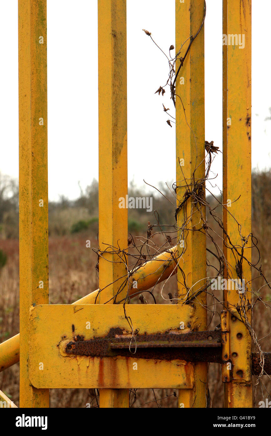 Calcio - Vecchio Calcetto - Darlington - Feethams Foto Stock