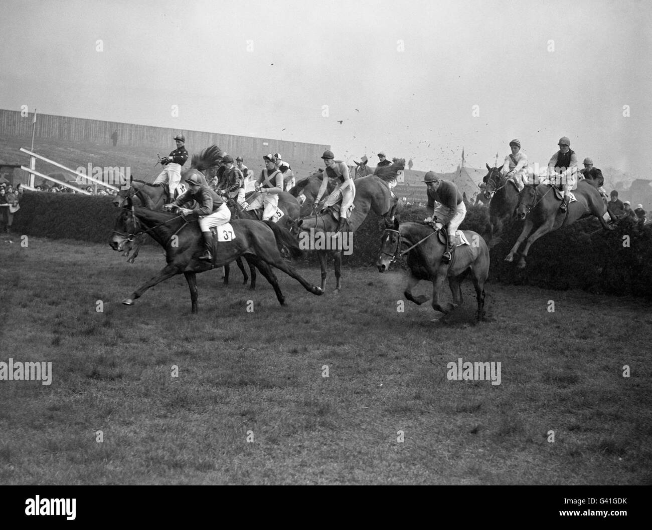 Corse di cavalli - Il Grand National - L'Aintree Racecourse Foto Stock