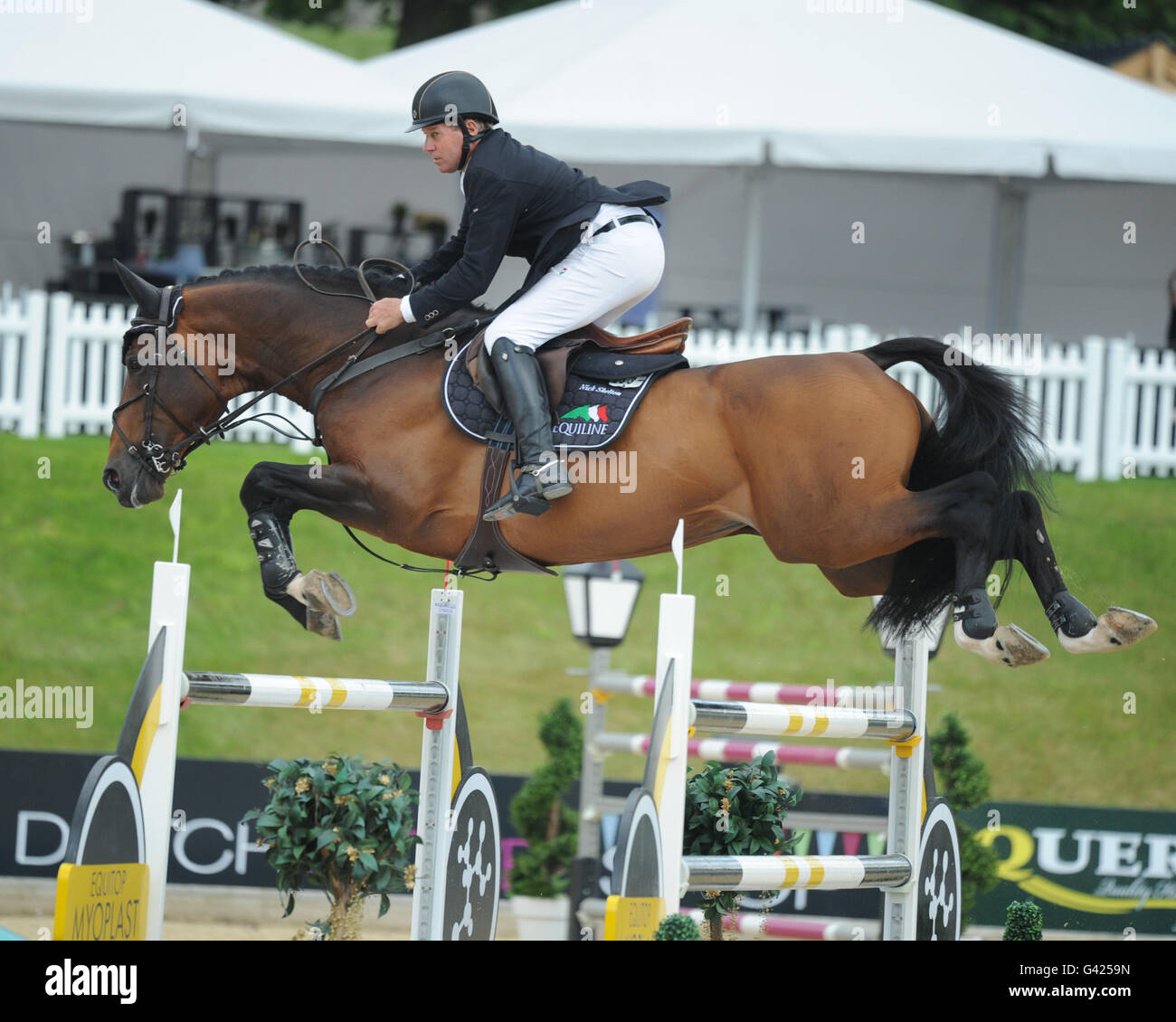 Bolesworth, UK. 17 Giugno, 2016. Medaglia d'oro olimpica duo Nick Skelton su grande stella che si fanno concorrenza a questo fine settimana Bolesworth Showjumping internazionali mostrano Credito: Trevor Meeks/Alamy Live News Foto Stock