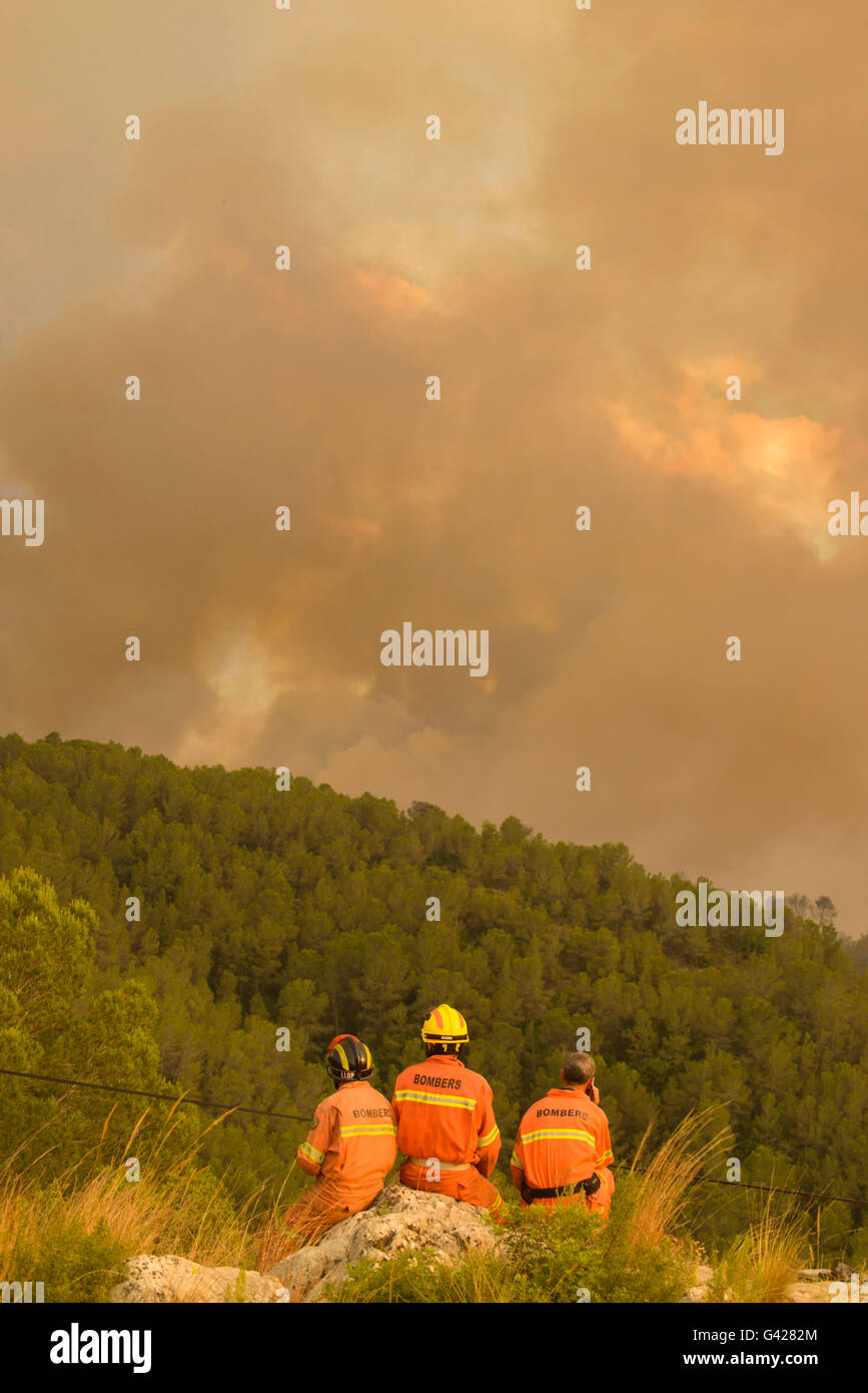 Valencia, Spagna. 17 Giugno, 2016. Firefighter guardando l'elicottero scarico acqua sul fuoco del wildfire Carcaixent, Valencia Spagna Credito: Salva Garrigues/Alamy Live News Foto Stock