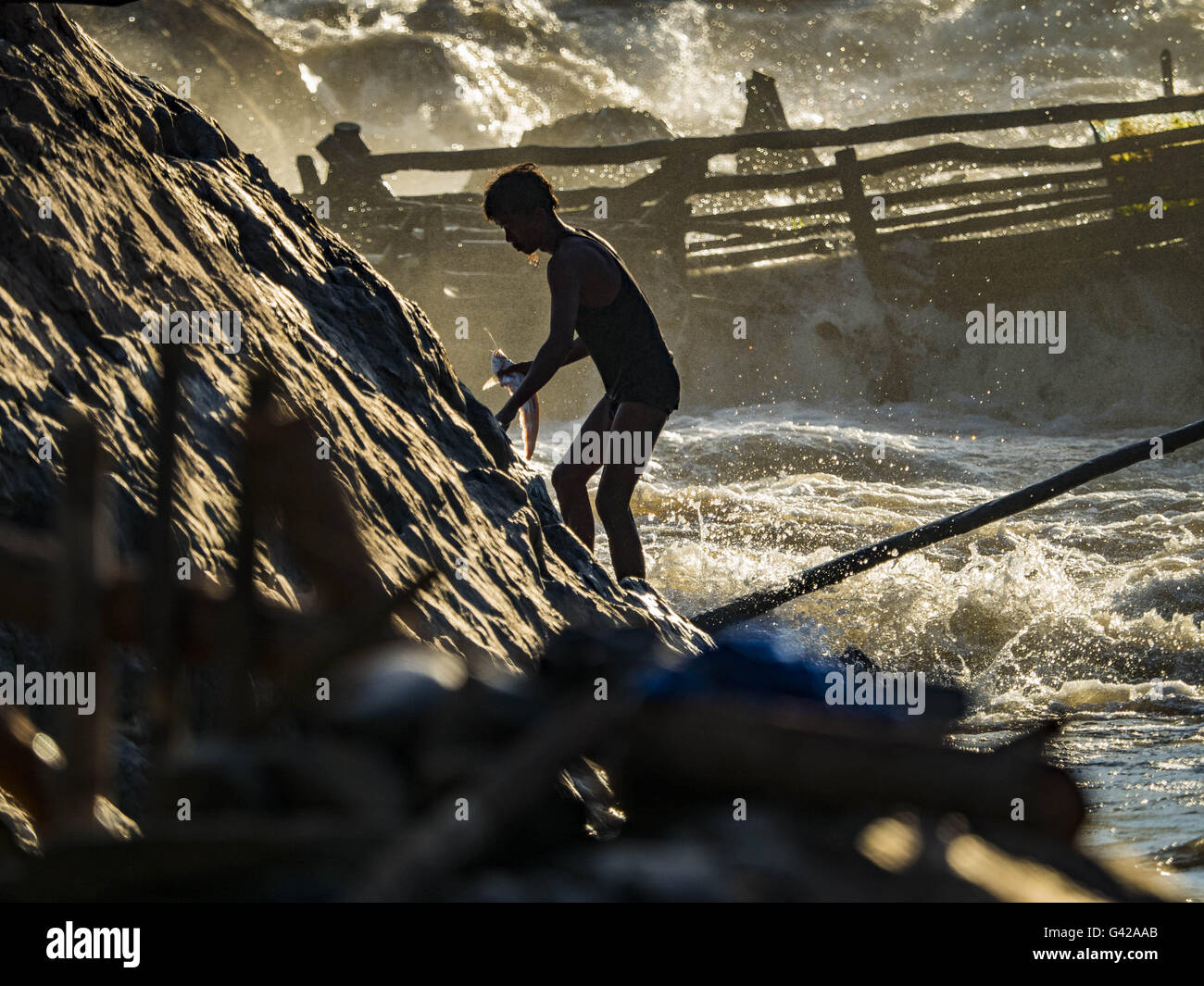 Don Khone, Champasak, Laos. Il 18 giugno, 2016. Un pescatore con la sua cattura salite le rocce sul litorale di Khon Pa Cascate di Soi, sul lato est di Don Khon. È la più piccola delle due cascate in Don Khon. I pescatori hanno costruito un elaborato sistema di ponti di corda sopra le cascate che utilizzano per raggiungere il pesce trappole hanno impostato. I pescatori della zona si contende con rese inferiori e i pesci più piccoli, che minacciano il loro modo di vita. Il fiume Mekong è uno dei più biodiversi e produttivi fiumi sulla terra. Si tratta di un hotspot globali per i pesci di acqua dolce: oltre mille specie sono stati registrati i Foto Stock