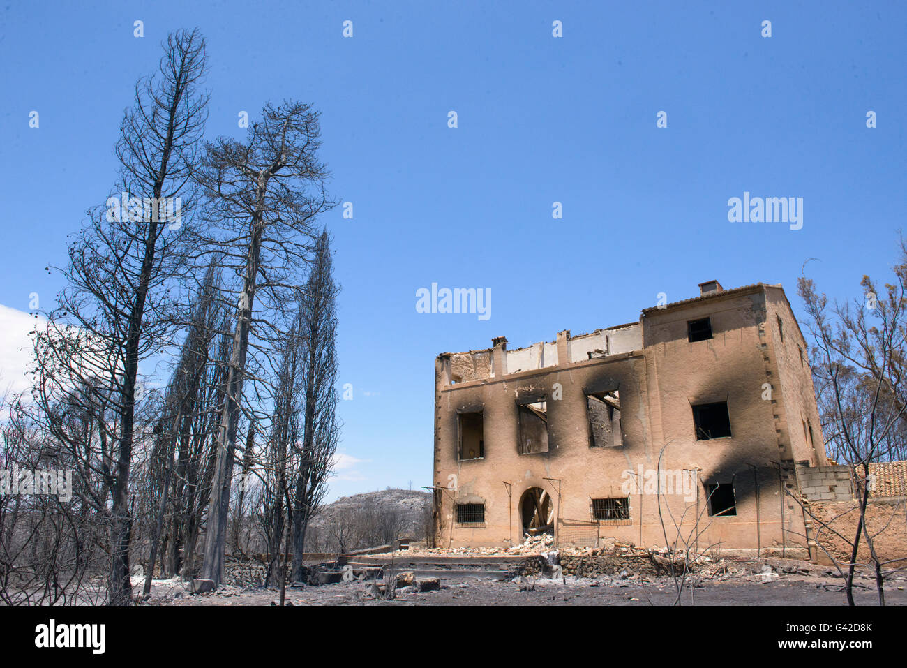 Carcaixent, Valencia, Spagna. Il 18 giugno, 2016. Casa Bruciata dopo il fuoco di San Blas, Carcaixent, Valencia, Spagna, Europa Credito: Salva Garrigues/Alamy Live News Foto Stock