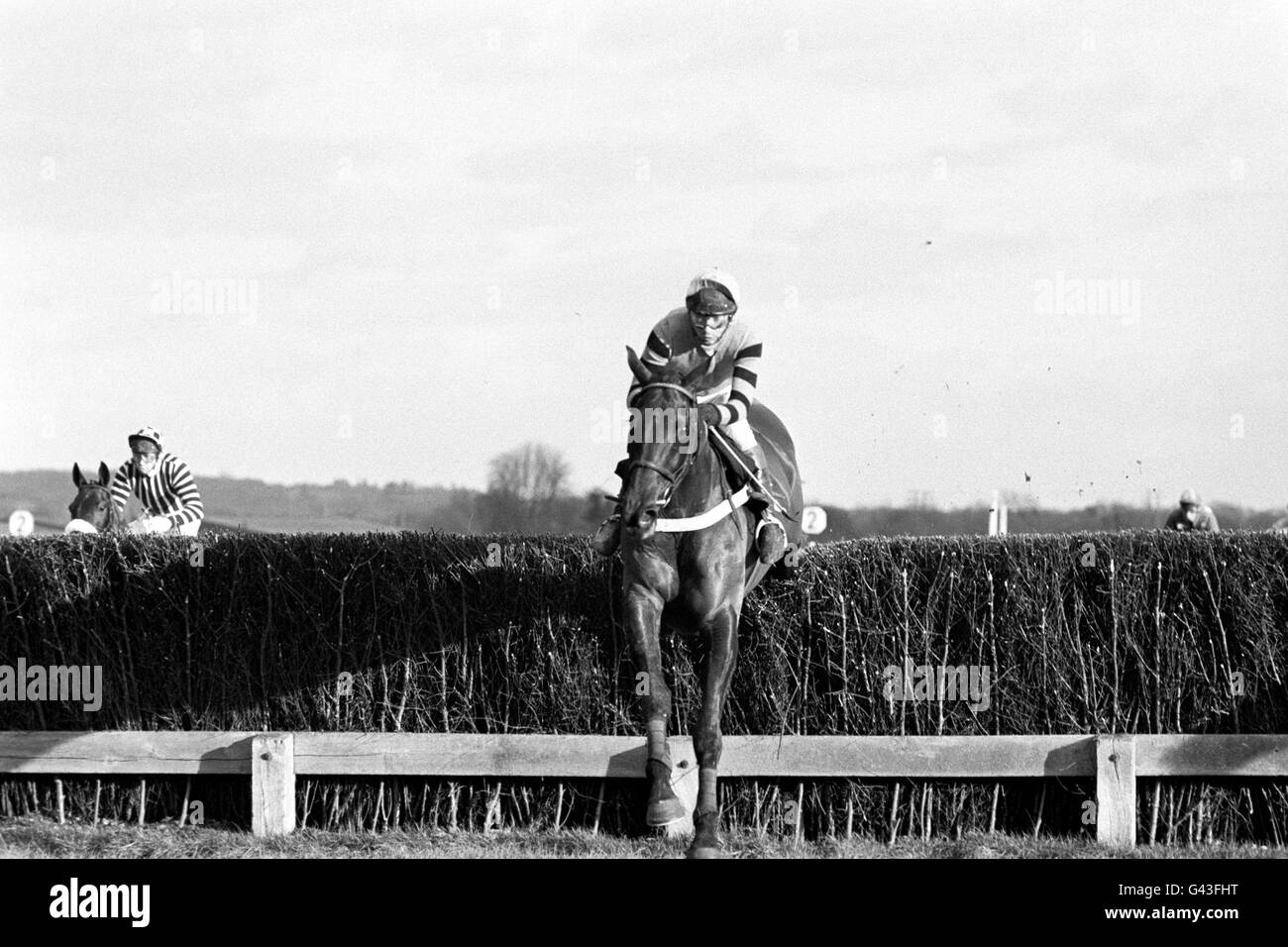 Horse Racing - Hennesy Cognac Gold Cup - Newbury Foto Stock