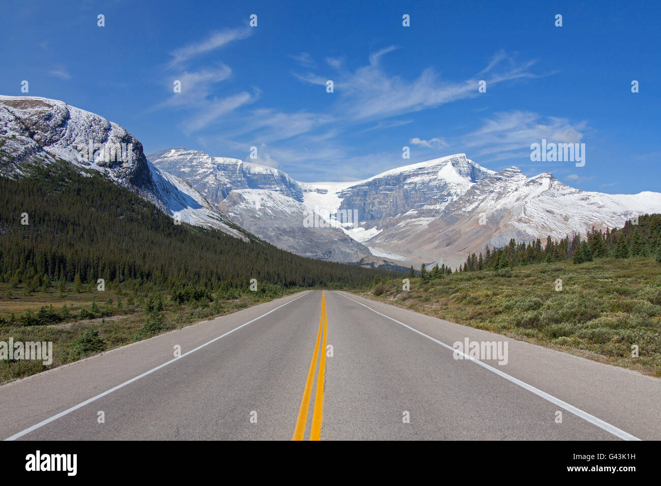 Una desolazione Icefields Parkway / autostrada 93, Jasper National Park, Alberta, Canada Foto Stock