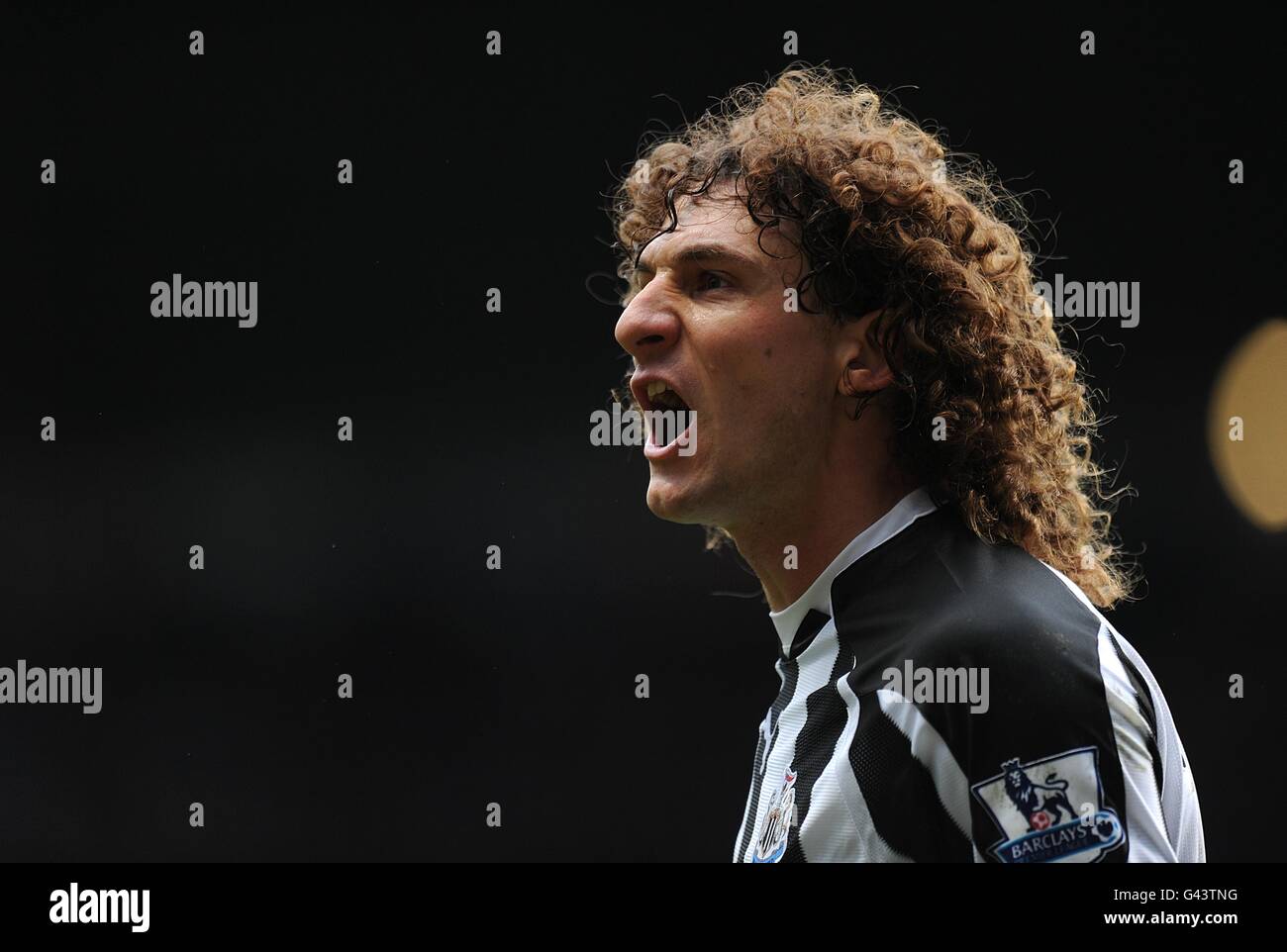 Calcio - Barclays Premier League - Newcastle United / Arsenal - St James' Park. Fabricio Cococcini, Newcastle United Foto Stock