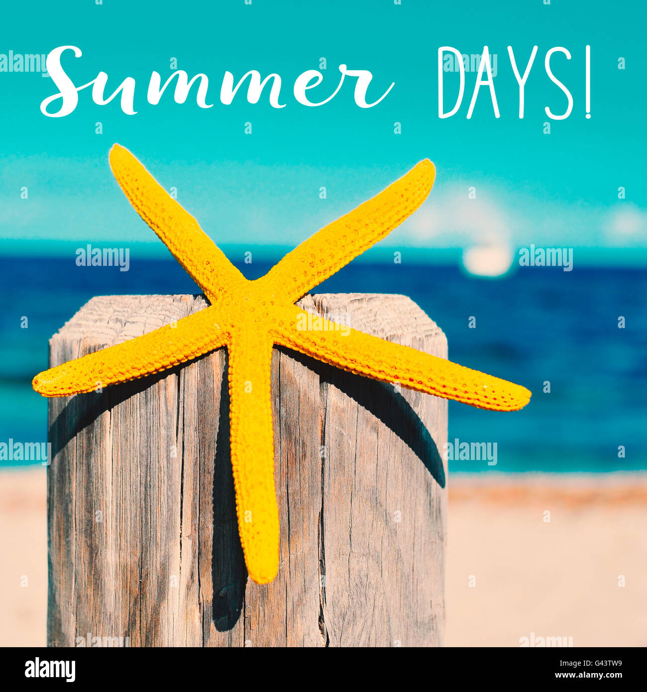 Primo piano di una stella gialla su un legno stagionato post con l'oceano sullo sfondo e il testo giornate estive Foto Stock