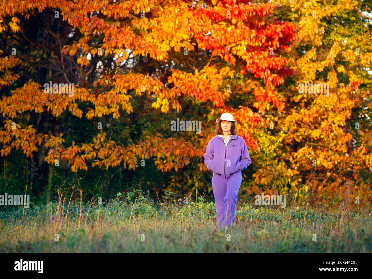 Donna che cammina nei campi circondato da autunno i colori dell'autunno Foto Stock