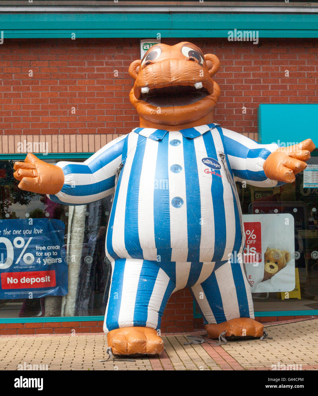 Giant Inflatables gonfiato striata ippopotamo animale, indossando pigiami a  strisce a fino a metà prezzo estate vendita a Carpetright, uno specialista  rivenditore di catena di tappeti e pavimenti, Mariners modo, Preston,  Lancashire,