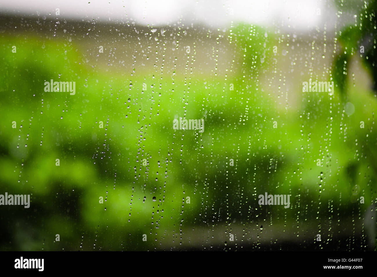 Gocce di pioggia sul vetro del finestrino Foto Stock