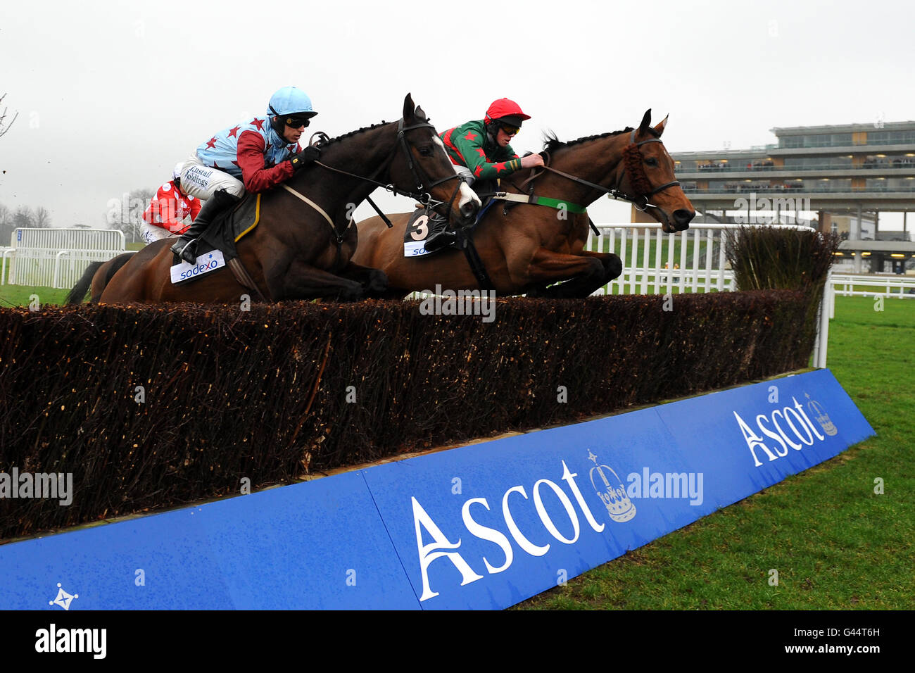 Horse Racing - Betfair Ascot Chase giorno - Ascot Racecourse Foto Stock