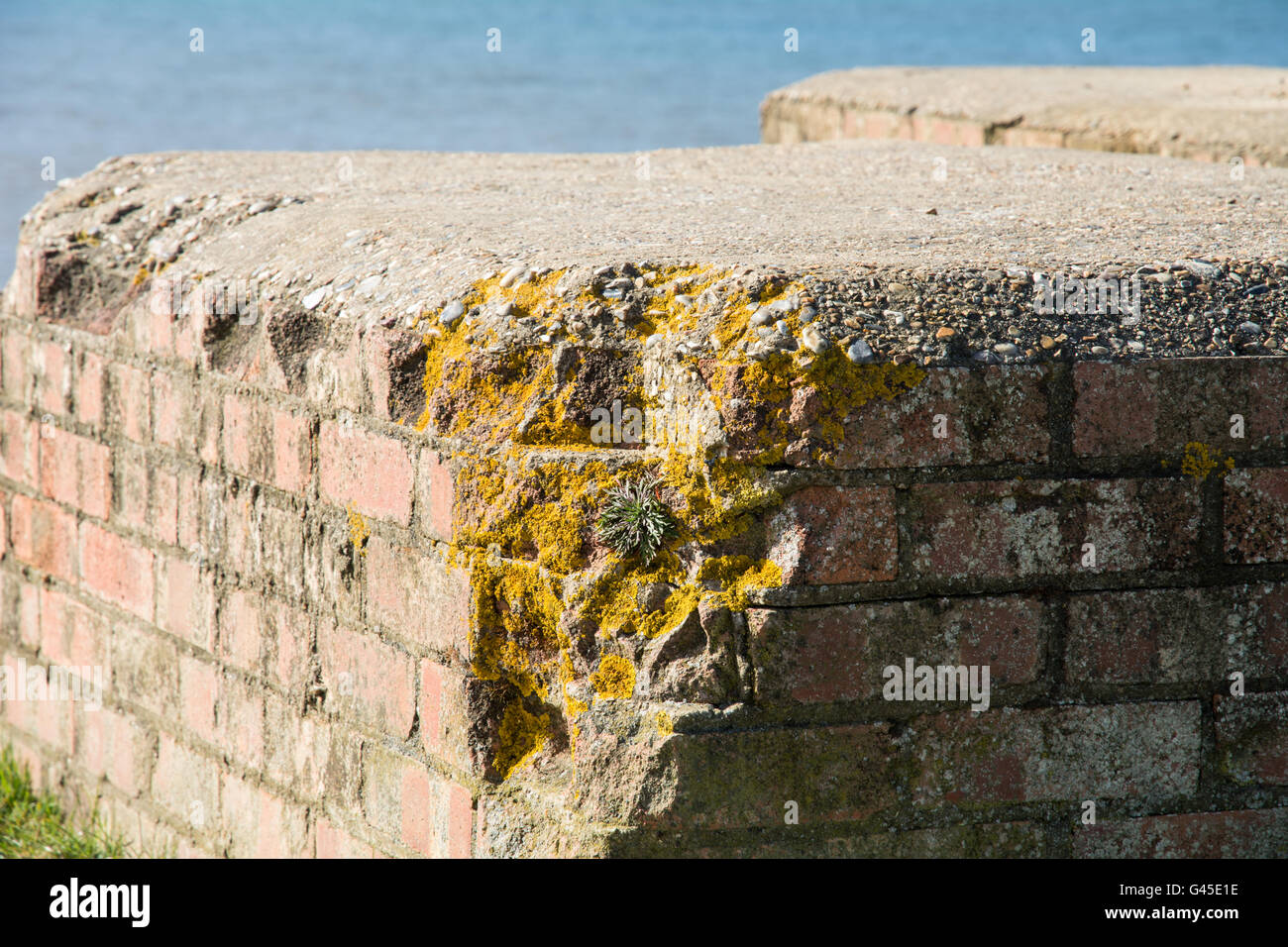 Un sbriciolare un muro di mattoni a Hunstanton Beach Norfolk Foto Stock